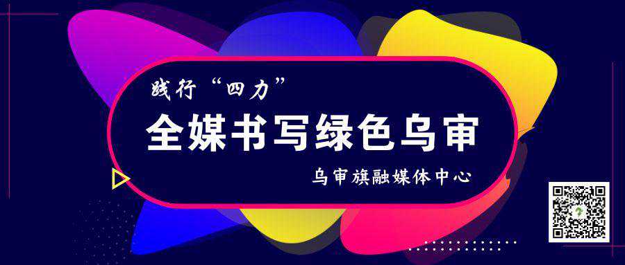 喜讯！乌审一人入展全国第十二届书法篆刻展览
