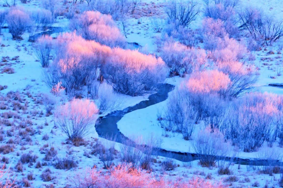 赤峰市：文旅融合同赋能 且以诗意共远方