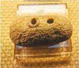 听，七八千年前远古乐器的美妙声音