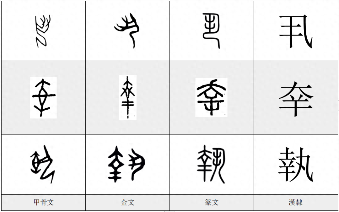每日一字——執