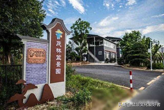 常学常新 三代人的盆景