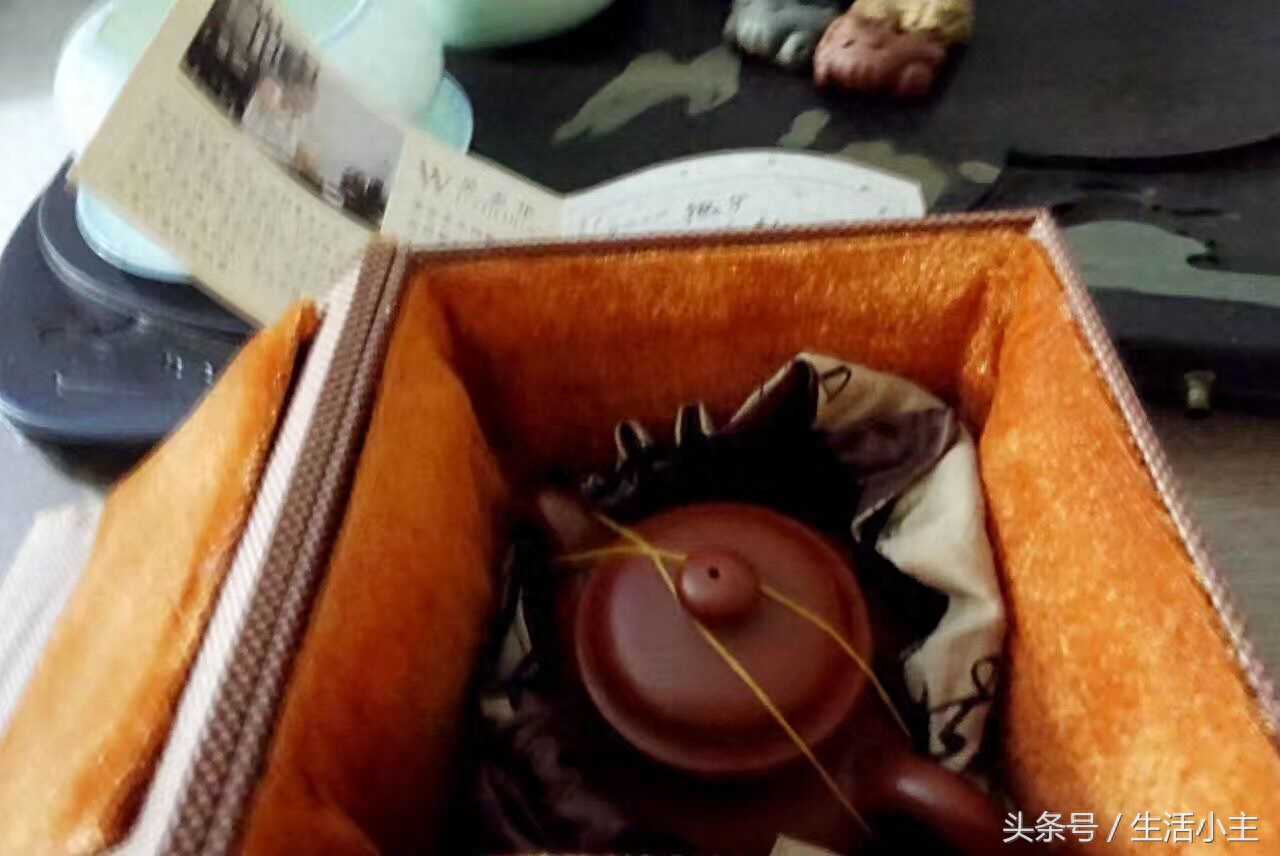 新到掇子激动不已，这壶不开出来半夜睡不着