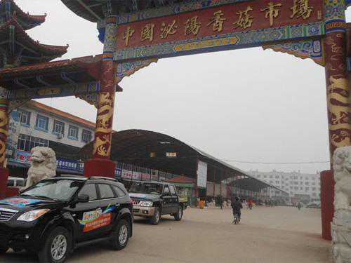 泌阳“泌”字读什么