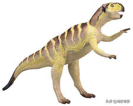 恐龙档案125——鹦鹉嘴龙