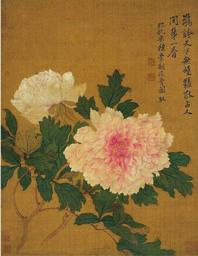 真态毕露——恽冰《菊花写生册》欣赏