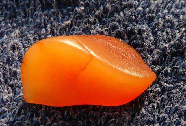 裸躺在克拉玛依的“美人”｜金丝玉