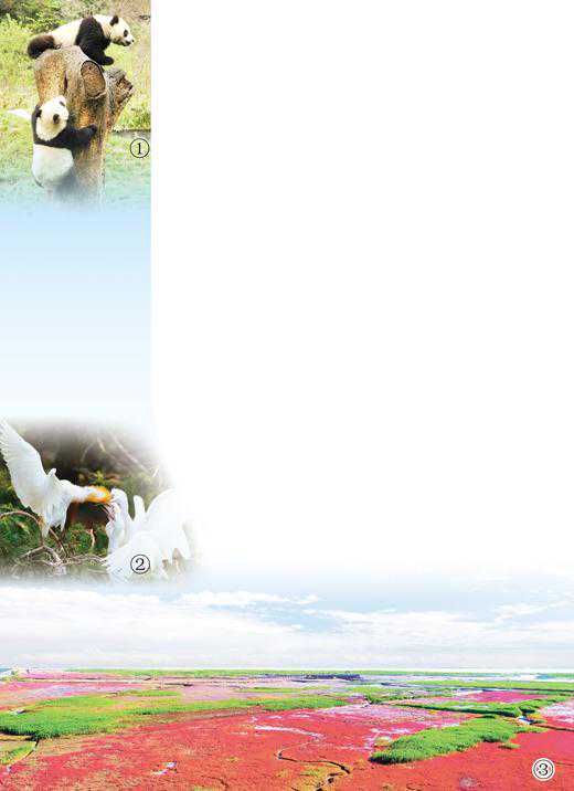 人与自然和谐共生