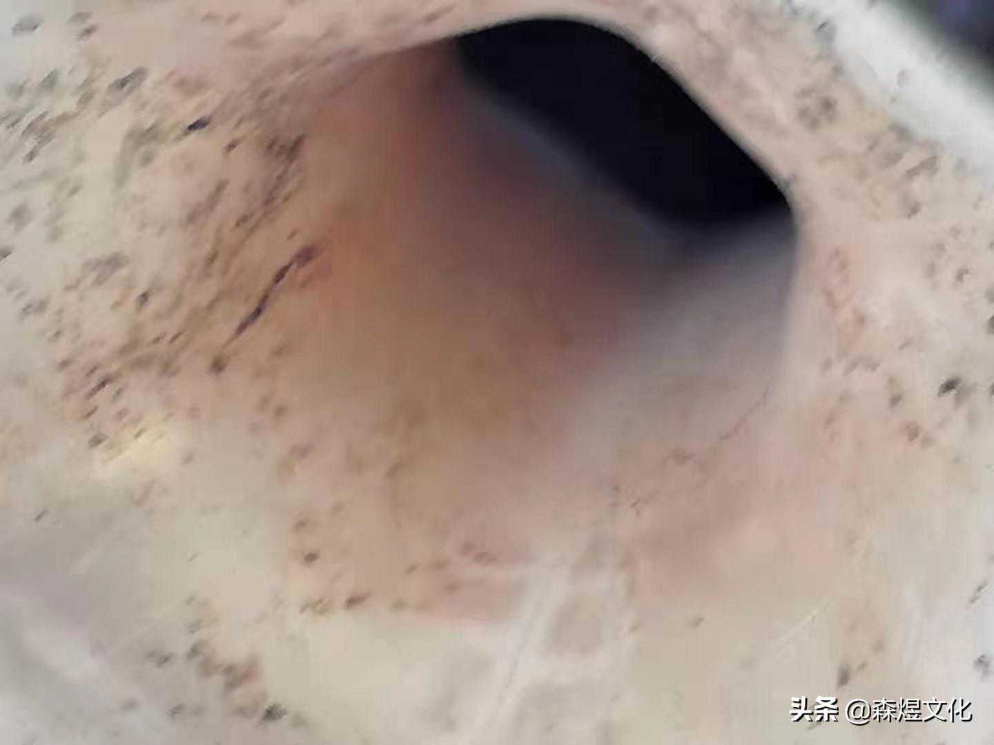 陈光明谈宋代瓷器一一之北宋金釉瓷器