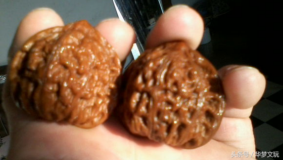 官帽里有王勇，那公子帽里有谁？—崔凯