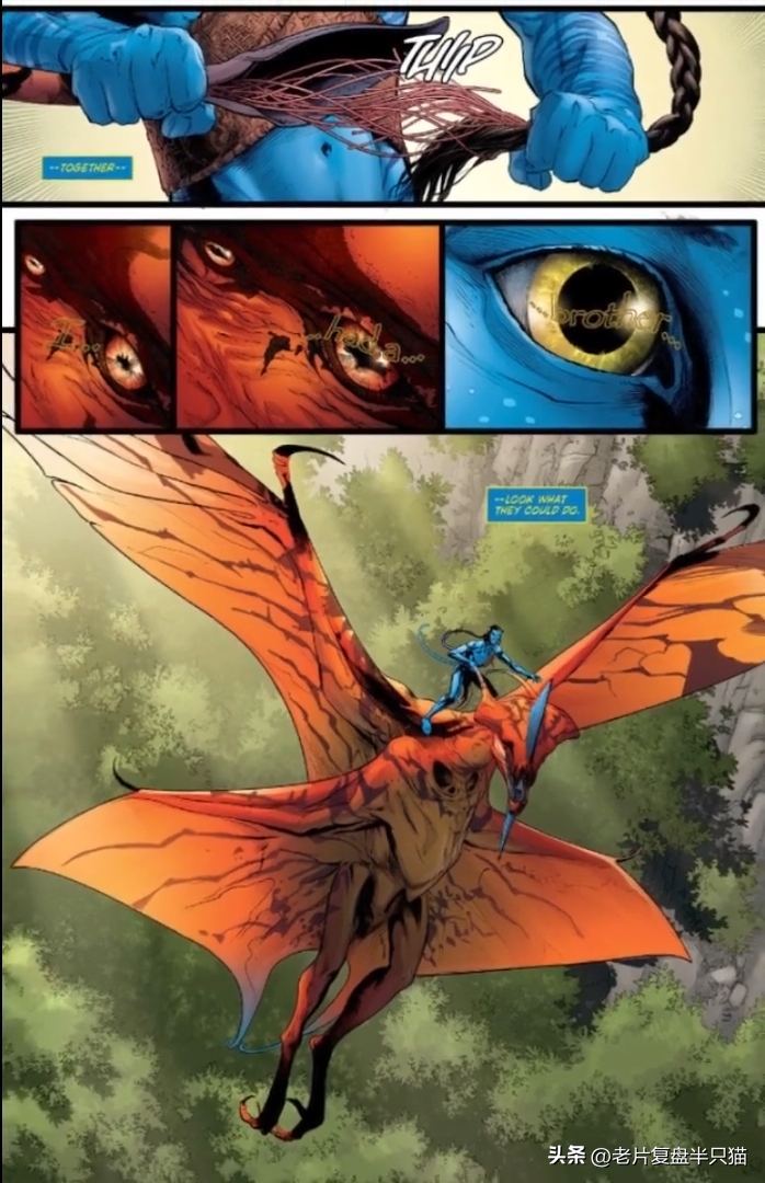 《阿凡达》编年史：电影只是冰山一角