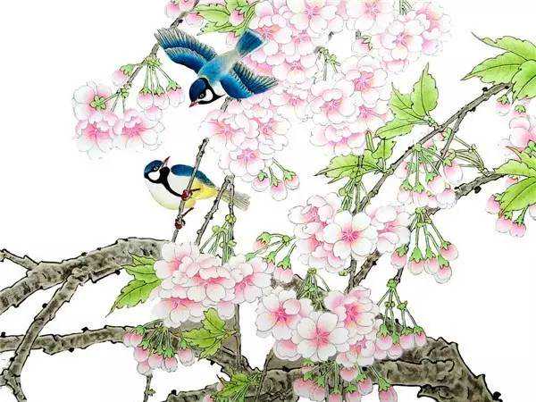 子曰：真诚、坦荡、深情，这里的每一句，都惹人怜爱