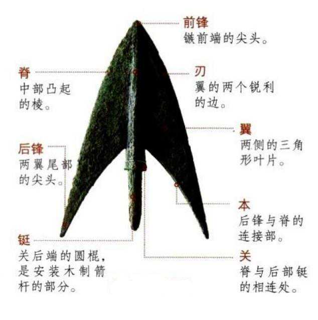 箭镞的进化史——商、周到两汉之交