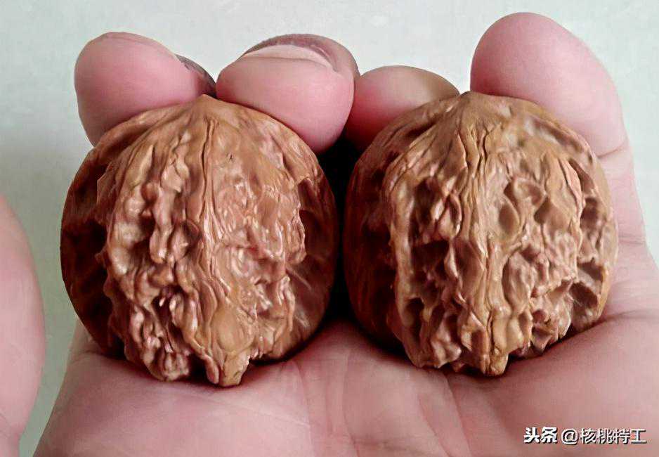 100种文玩核桃品种分享之70：昌平闷尖