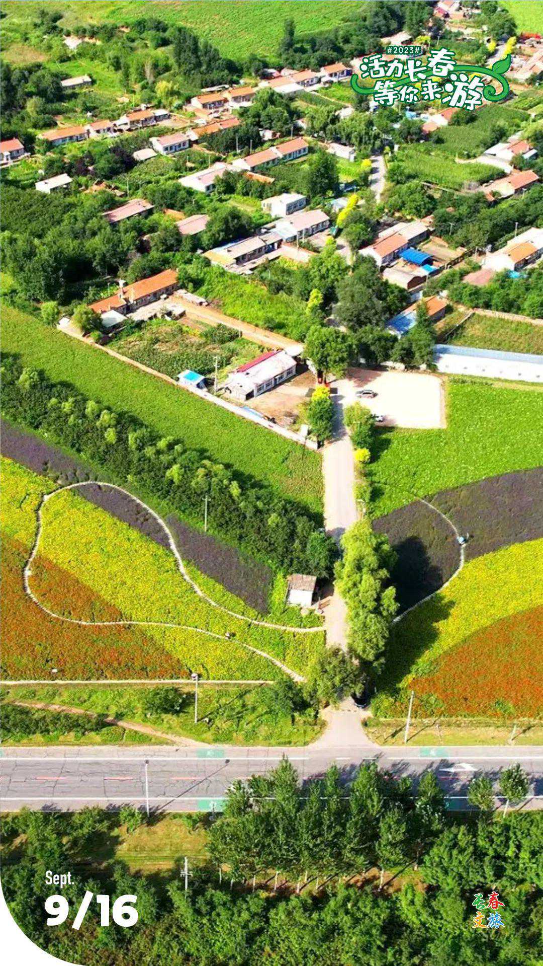 收藏备用！假日近郊游，选项+1~