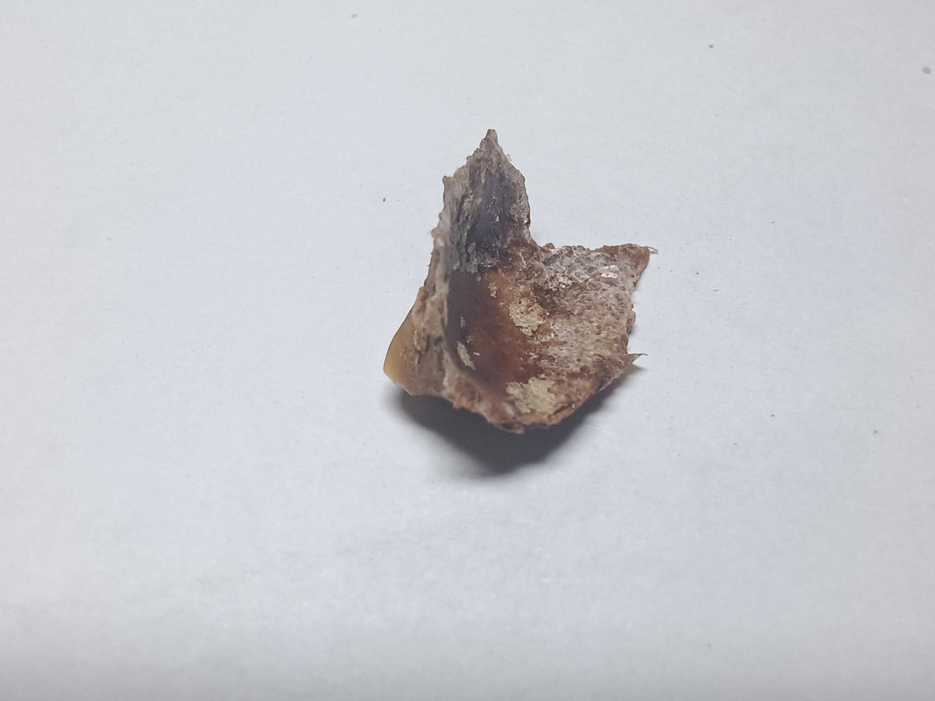 【健康】过年吃撑了？这份消滞攻略快收藏！