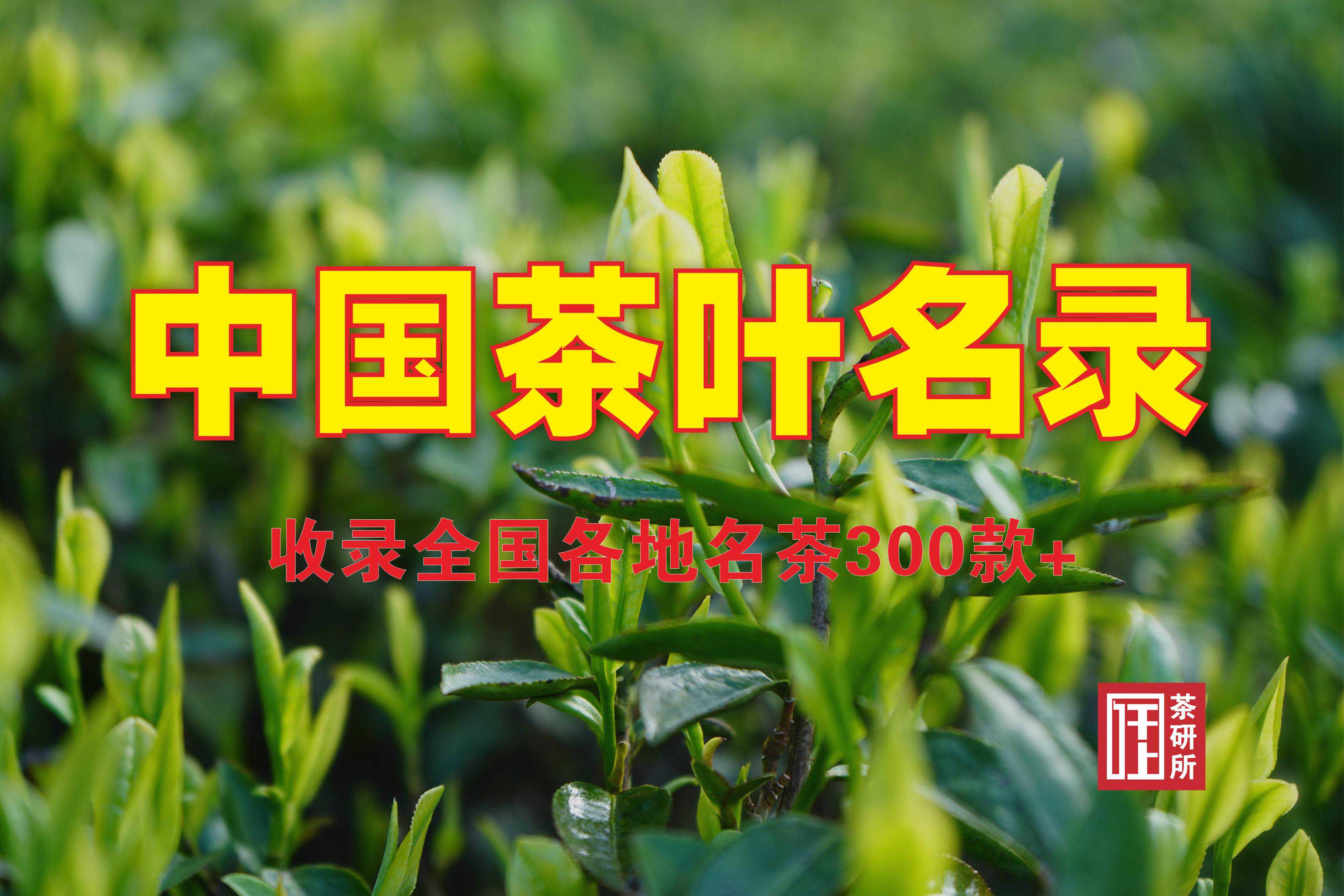 【收藏】超完整的中国茶叶名录（收录全国各地名茶300款+）