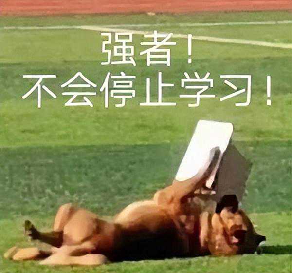 12款大学生必备APP和网站！抓紧收藏起来！大学总会用到