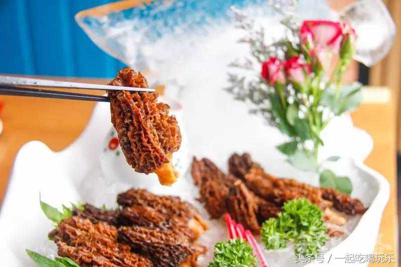 昆明周边森林小众景点——松鹿部落游玩六tips，请注意收藏！