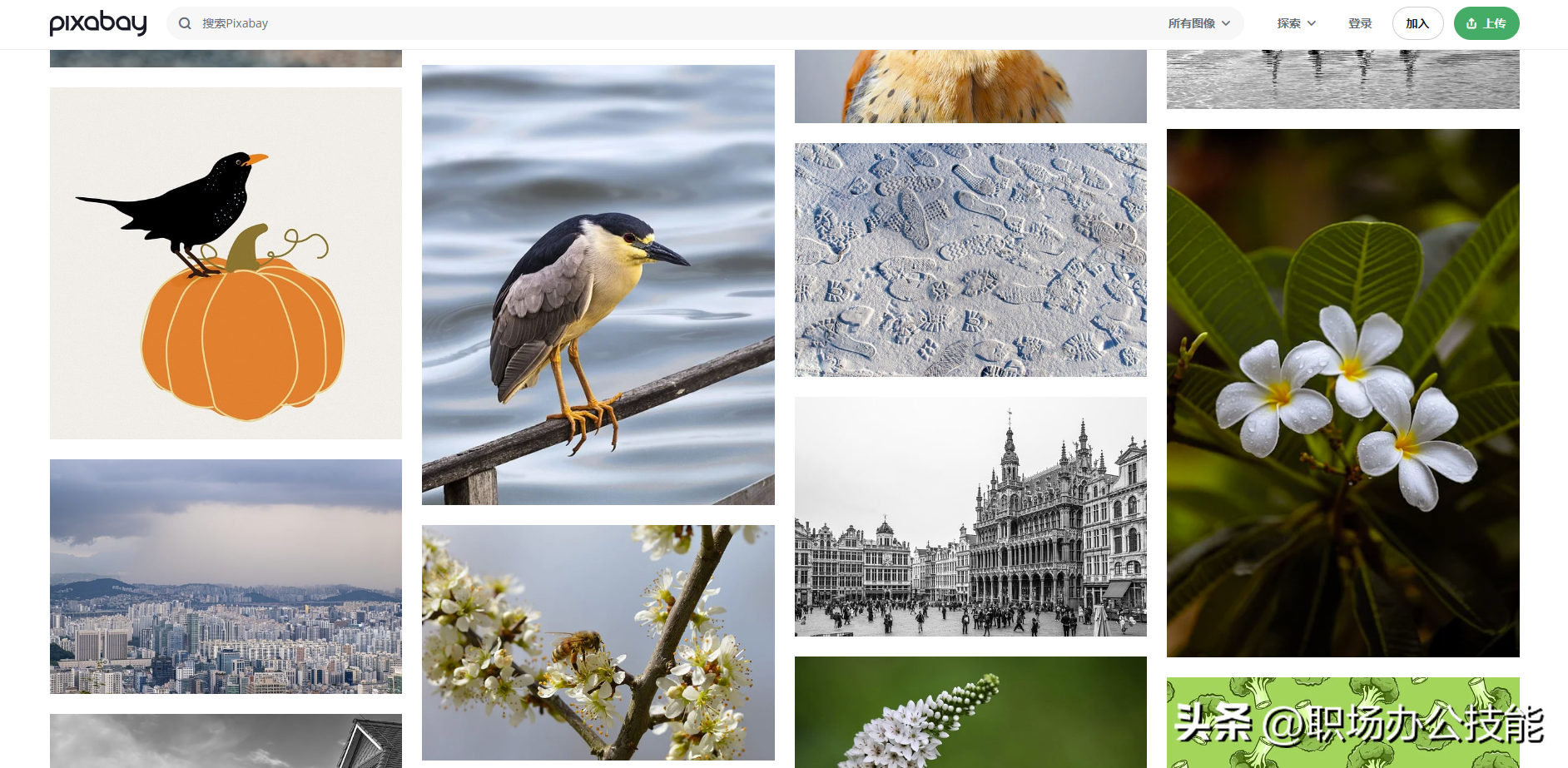 建议收藏！7个免费好无版权图片素材网站，再也不用担心图片侵权