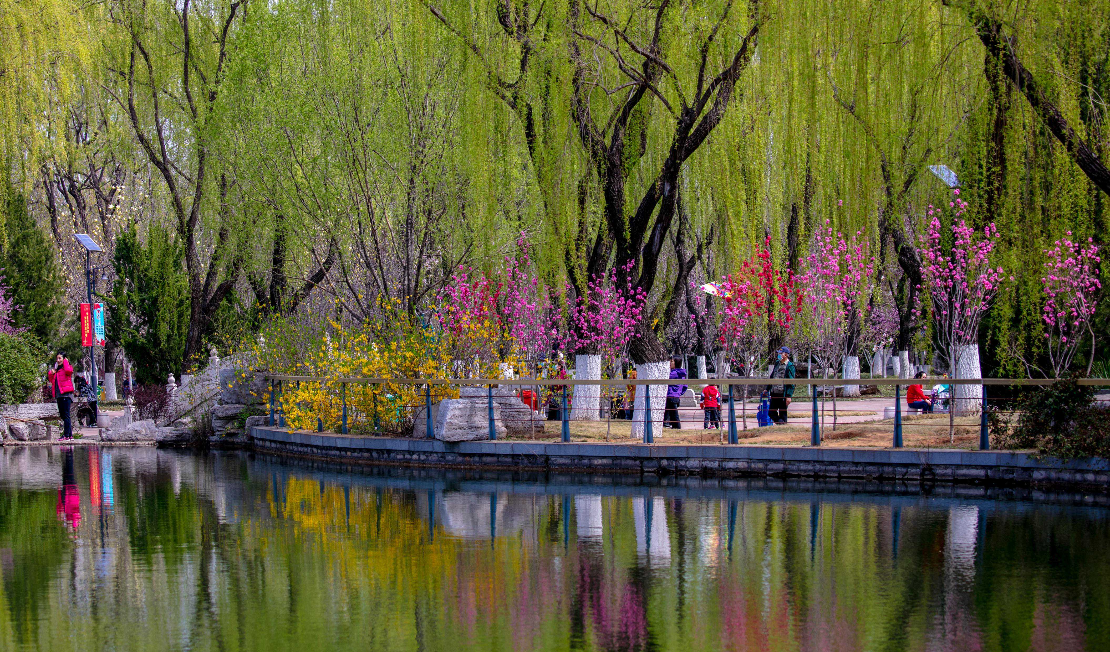 野餐露营安排一下？济南这几处赏春郊游秘境太值得一去了！赶紧收藏！