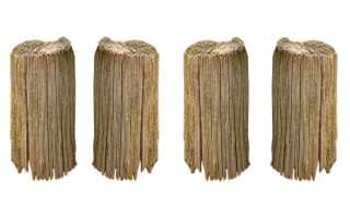 林存安：中国画的品味