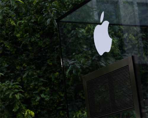 淀粉的分类及用法，实用的厨房小知识，先收藏了