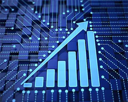 单只最高拍出5300多元 高端风味盐池滩羊受追捧