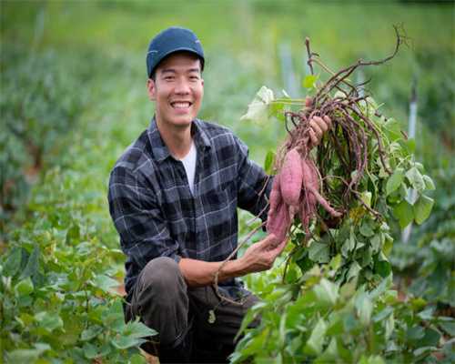 脑筋急转弯3600条之第四部分，最新收藏版（可打印）