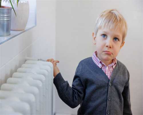 北京饭店收藏的珍贵文物，还有光绪皇帝大婚时烧制的瓷器？