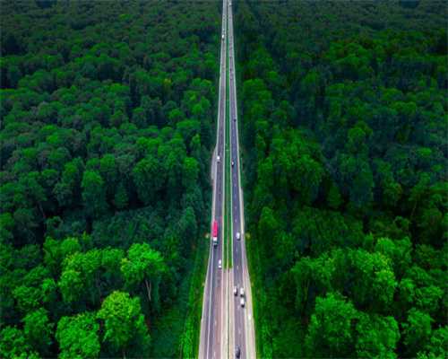 曼荼罗，坛城唐卡艺术