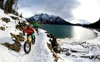 江西省抗“疫”档案征集工作有序开展