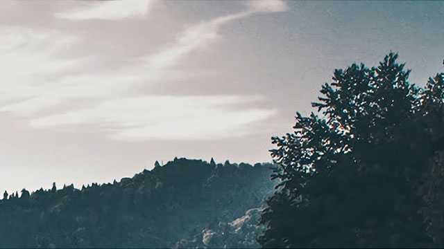 天眷堂拍品欣赏