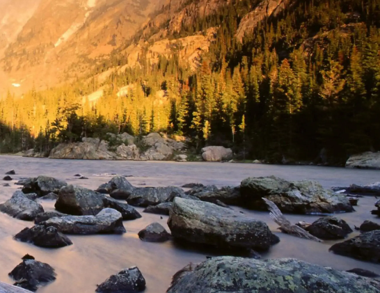 民间传统手工艺—烙画